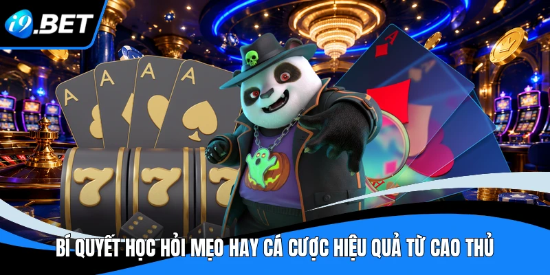 Bí quyết học hỏi mẹo hay cá cược hiệu quả từ cao thủ