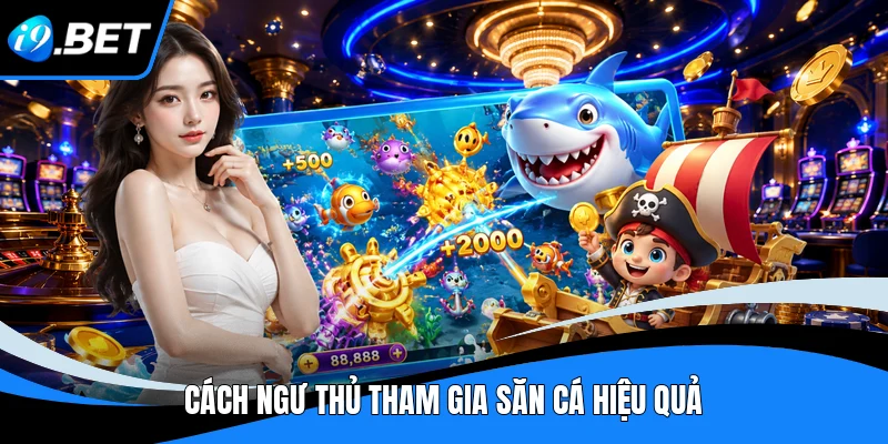 Cách ngư thủ tham gia săn cá hiệu quả